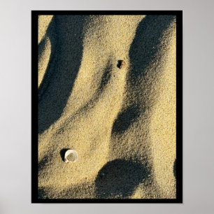 Poster Cartaz Shell Sand and Shadows