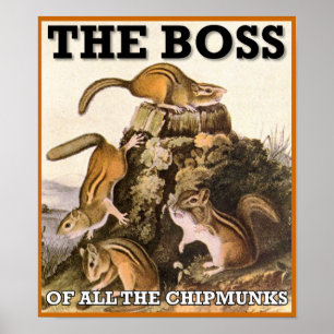 Poster Cartaz Sinal do Chefe de Todos os Esquilos