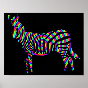 Poster Cartaz Sombra Zebra Arco-íris