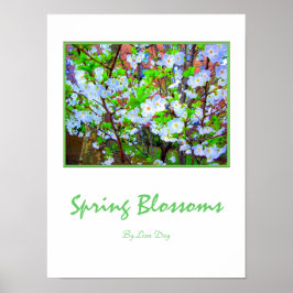 Poster Cartaz 'Spring Blossoms'