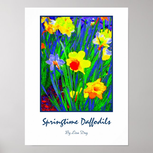 Poster Cartaz 'Springtime Daffodils' (Frente)