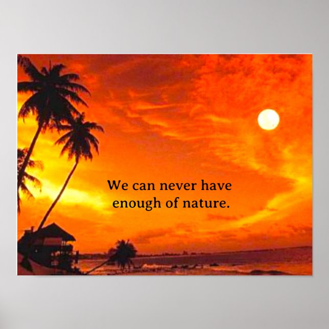 Poster Cartaz Sunset (Frente)