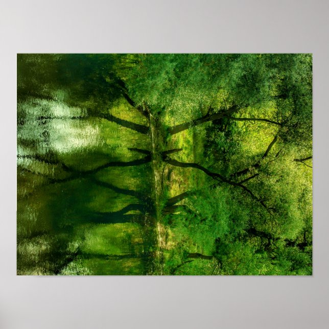 Poster Cartaz Super Green River Trees Reflection A3 (Frente)