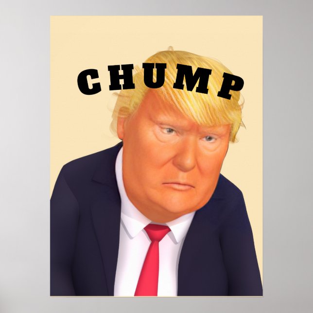 Poster Cartaz Trump/Perdedor (Frente)