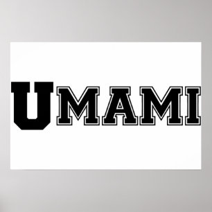 POSTER CARTAZ UMAMI COLLEGE