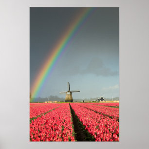 Pôster Cartaz vertical de arco-íris, tulipas e moinho de