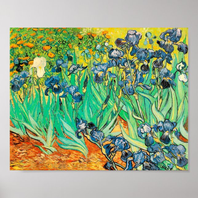 Pôster Cartaz Vincent van Gogh Íris 1889 Flores Azuis (Frente)