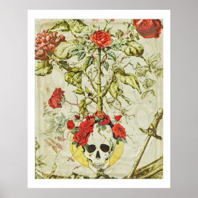 Poster Cartaz Vintage Caveira e Rose Bush (Frente)