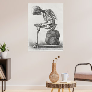 Poster Cartaz Vintage de Anatomia do Esqueleto