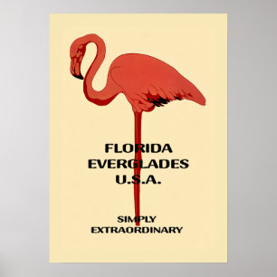 Poster Cartaz Vintage Flamingo da Flórida 20x28