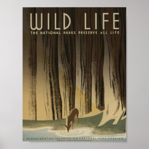 Poster Cartaz Vintage WPA Vida Selvagem