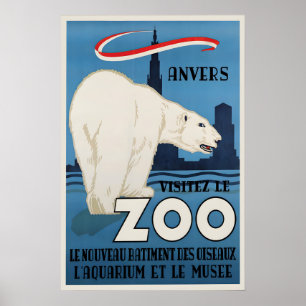 Poster Cartaz Zoo Antwerp Urso Polar Arte Vintage Parede