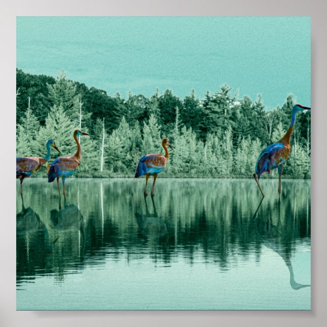 Poster Cartões De Brinquedo, Bebê (Frente)