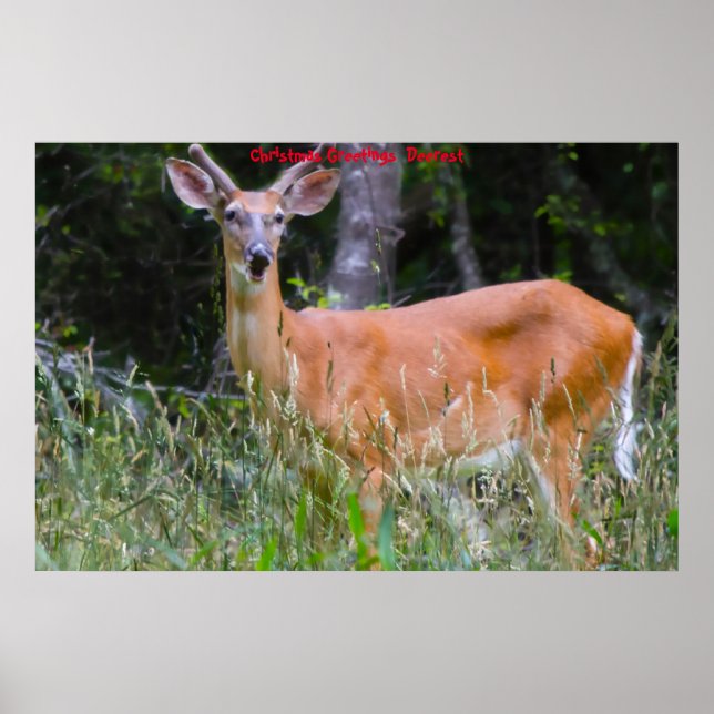 Poster Cartões de natal Deerest (Frente)