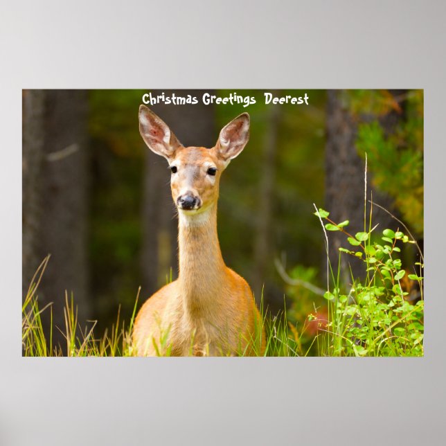 Poster Cartões de natal Deerest (Frente)