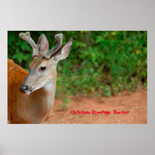 Poster Cartões de natal Deerest