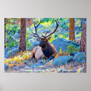 Poster Cartões de natal Meu Amigo