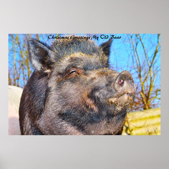 Poster Cartões de natal Meu Antigo Barco (Frente)