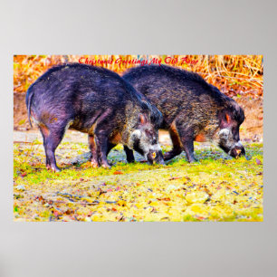 Poster Cartões de natal Meu Antigo Barco