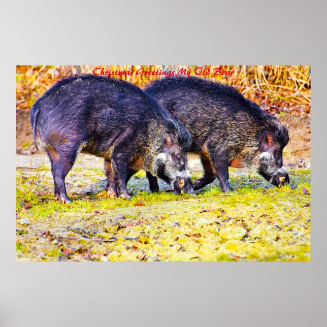 Poster Cartões de natal Meu Antigo Barco (Frente)