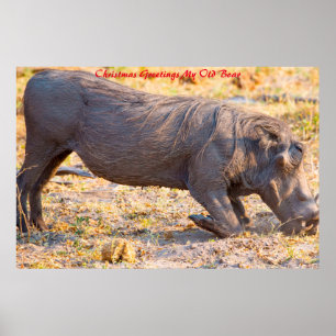 Poster Cartões de natal Meu Antigo Barco