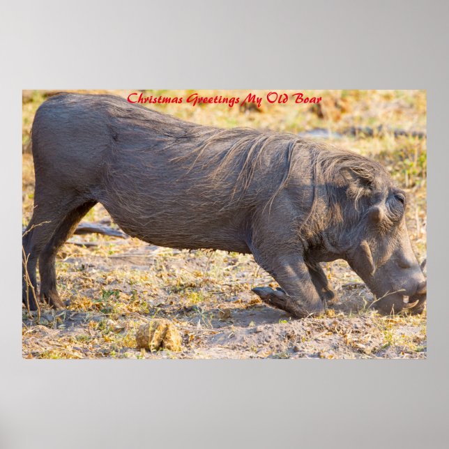 Poster Cartões de natal Meu Antigo Barco (Frente)