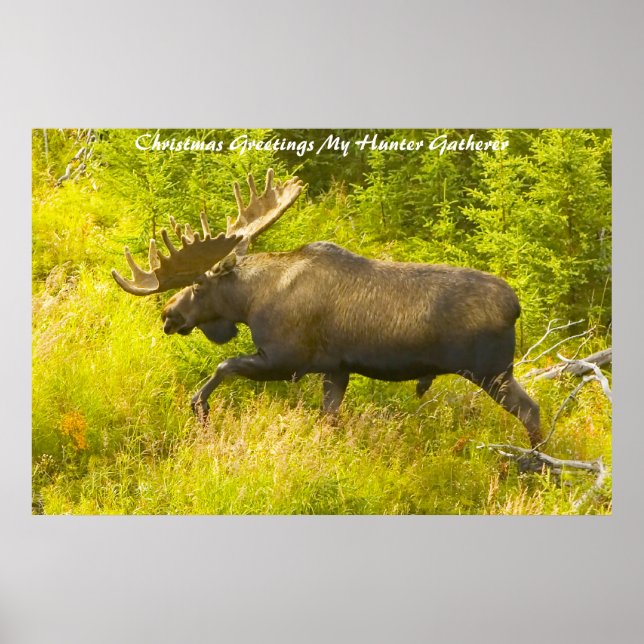 Poster Cartões de natal Meu Coletor de Caça (Frente)