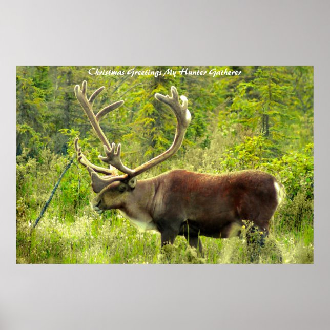 Poster Cartões de natal Meu Coletor de Caça (Frente)