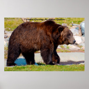 Poster Cartões de natal Meu Coletor de Caça