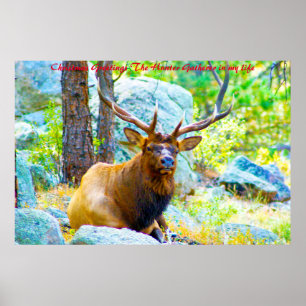 Poster Cartões de natal o Coletor de Caça na minha vida