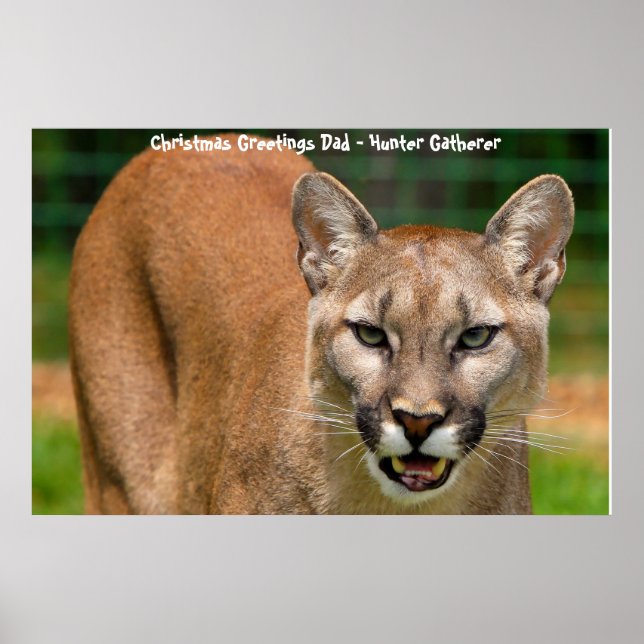 Poster Cartões de natal Pai Hunter Gatherer (Frente)