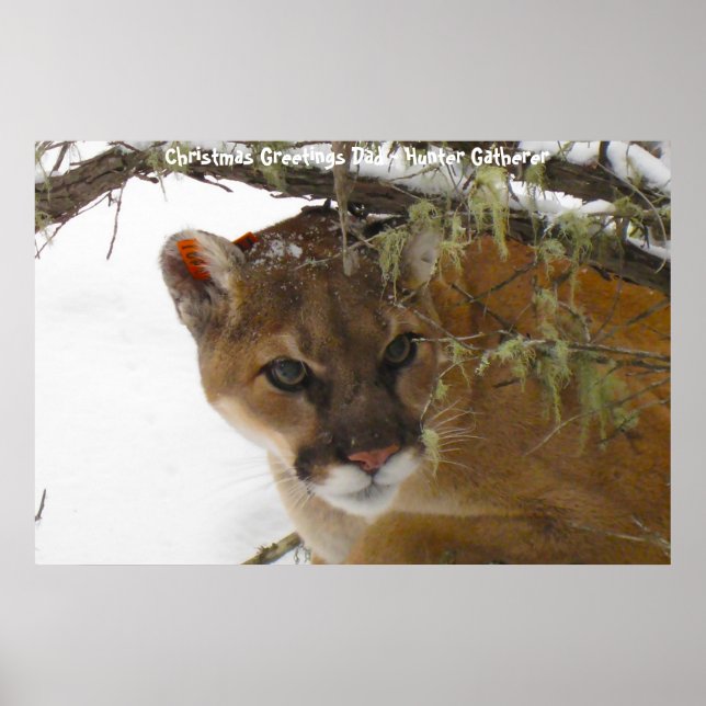 Poster Cartões de natal Pai Hunter Gatherer (Frente)