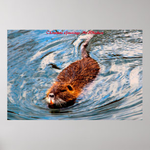 Poster Cartões de natal Sr. Whiskers