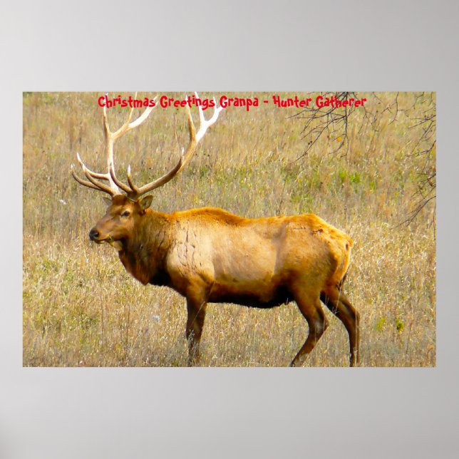 Poster Cartões de natal Vovô Hunter Gatherer (Frente)