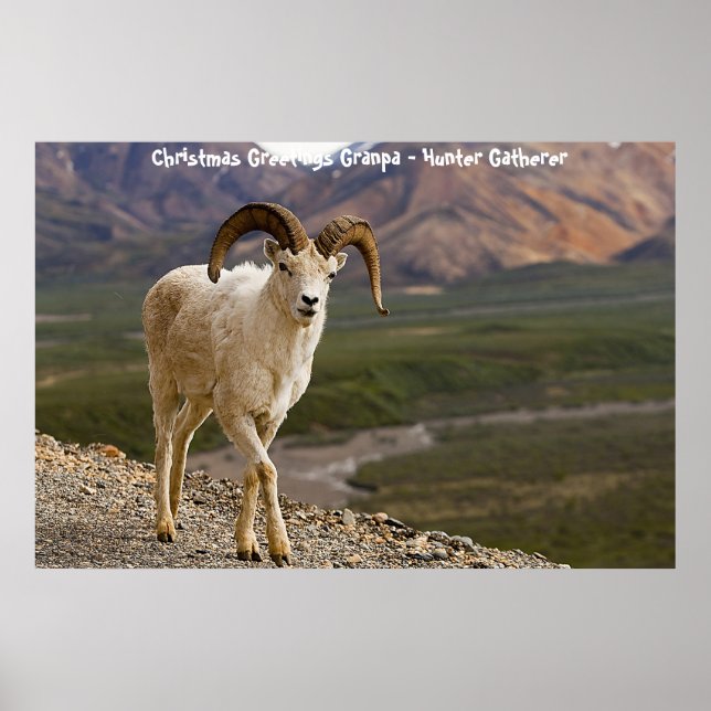 Poster Cartões de natal Vovô Hunter Gatherer (Frente)