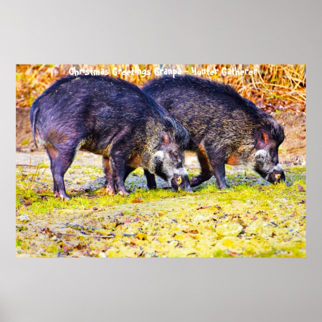 Poster Cartões de natal Vovô Hunter Gatherer (Frente)