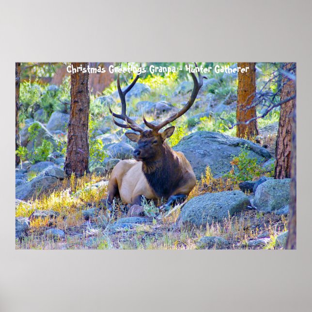 Poster Cartões de natal Vovô Hunter Gatherer (Frente)