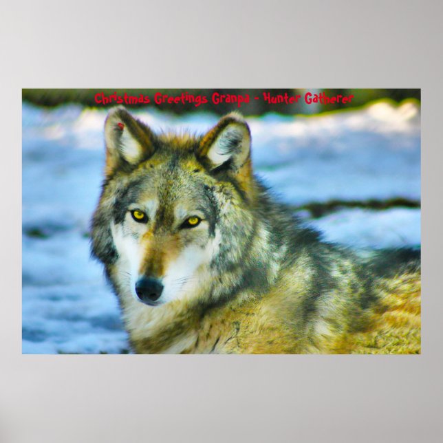 Poster Cartões de natal Vovô Hunter Gatherer (Frente)