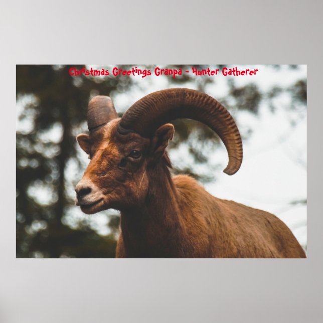 Poster Cartões de natal Vovô Hunter Gatherer (Frente)