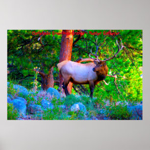 Poster Cartões de natal Vovô Hunter Gatherer