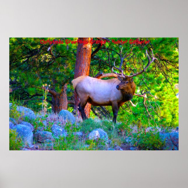 Poster Cartões de natal Vovô Hunter Gatherer (Frente)