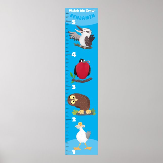 Poster Cartografia de pássaros engraçados (Frente)