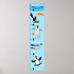 Poster Cartografia de pássaros engraçados e bonitos