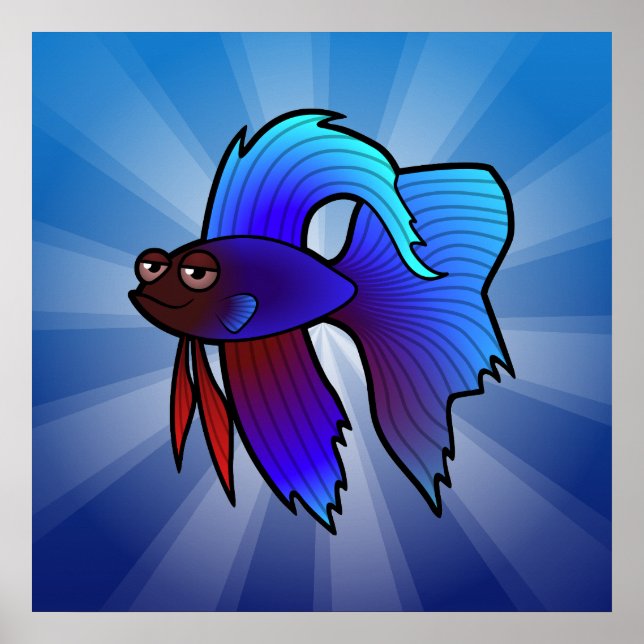 Pôster Cartoon Betta Fish/Peixe de Combate Siamês (Frente)