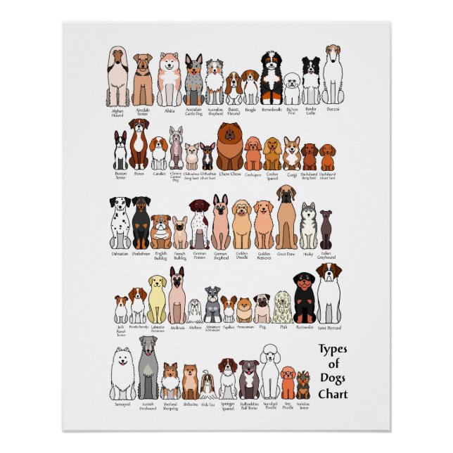 Pôster cartoon dog breeds poster (Frente)