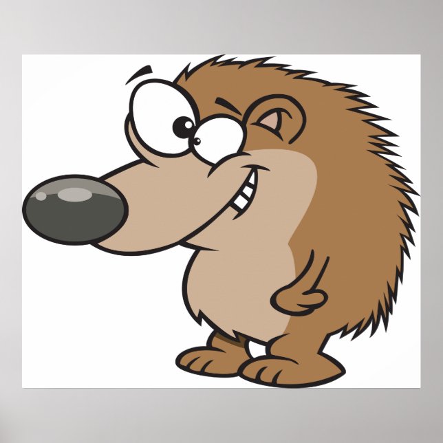Poster Cartoon Hedgehog (Frente)