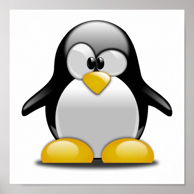 Poster Cartum Pinguim Bonito (Frente)