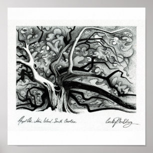 Poster Carvalho do anjo