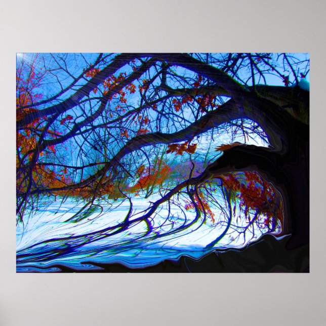 Poster Carvalho torcido (Frente)