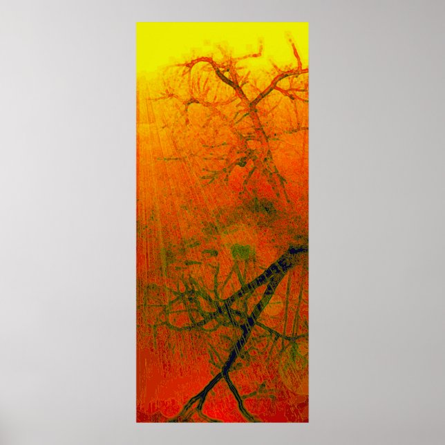 Pôster Carvalho torcido - (Frente)